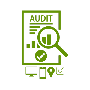 Digital Audits - Artfully Promoted